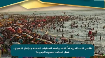 طقس الإسكندرية غداً الأحد يشهد اضطراب الملاحة وارتفاع الأمواج.. فهل تستعد للموجة الجديدة؟